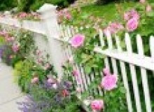 Kwikfynd Garden fencing
alicurung
